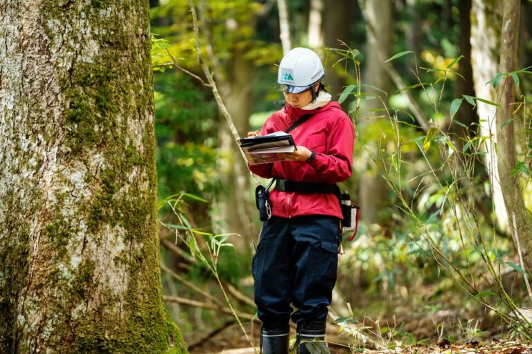 Obtenir un diplôme en foresterie : ce qu&rsquo;il faut savoir |  Meilleurs collèges