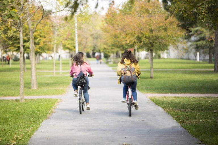 15 villes universitaires amusantes dans le sud |  Meilleurs collèges