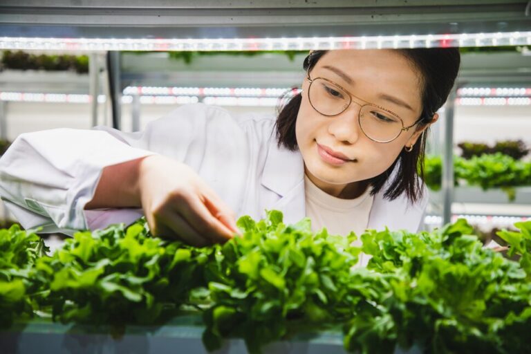 Que pouvez-vous faire avec un diplôme en sciences alimentaires ?  |  Meilleurs collèges