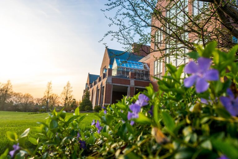 Découvrez quelle université catholique est la mieux classée |  Meilleurs collèges