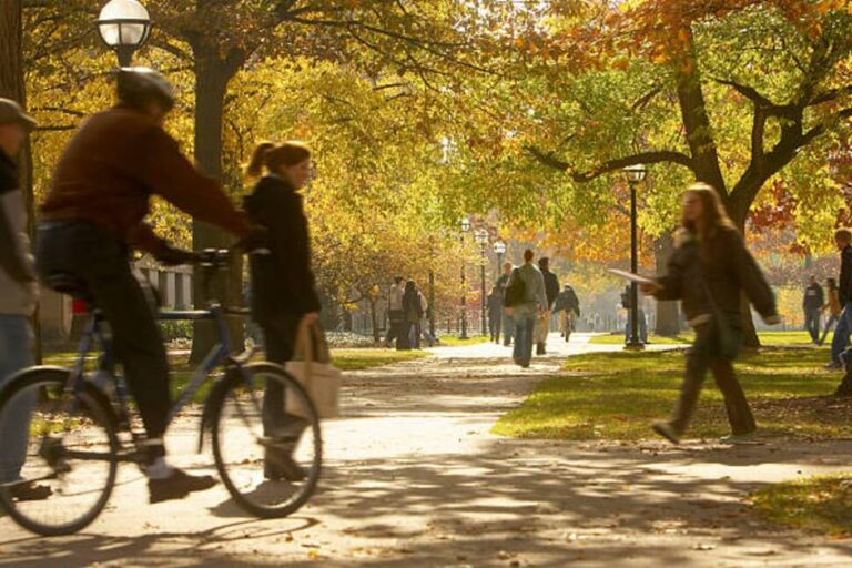 8 liens à établir sur le campus |  Meilleurs collèges