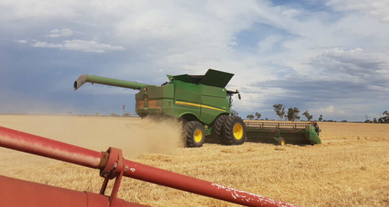 Les 3 métiers les plus recherchés dans l’agriculture en 2024 ;  les salaires peuvent atteindre 45 000 R$