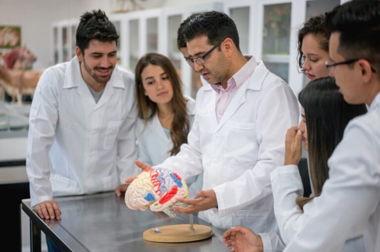 Ce qu'il faut savoir pour devenir une majeure en sciences cognitives