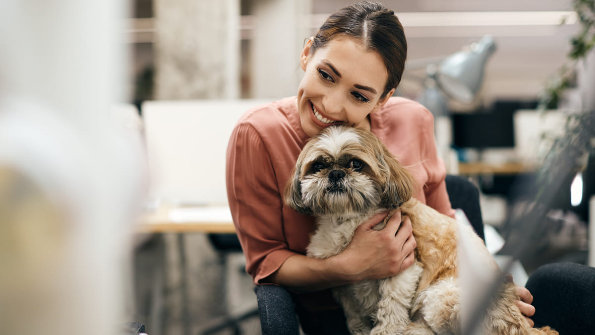 Câlins et caresses au bureau. Mais pas avec les humains