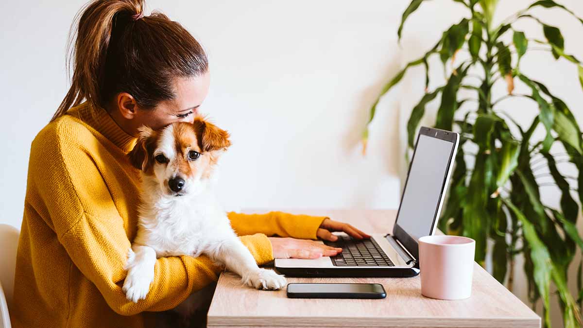 Les propriétaires de chiens sont plus susceptibles de vouloir travailler de manière flexible ou à domicile - sondage
