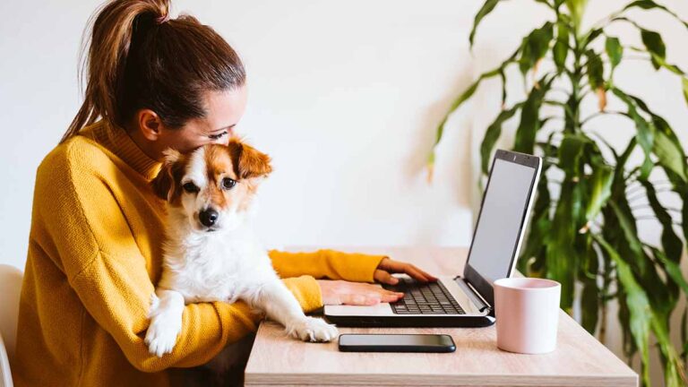 Les propriétaires de chiens sont plus susceptibles de vouloir travailler de manière flexible ou à domicile – sondage