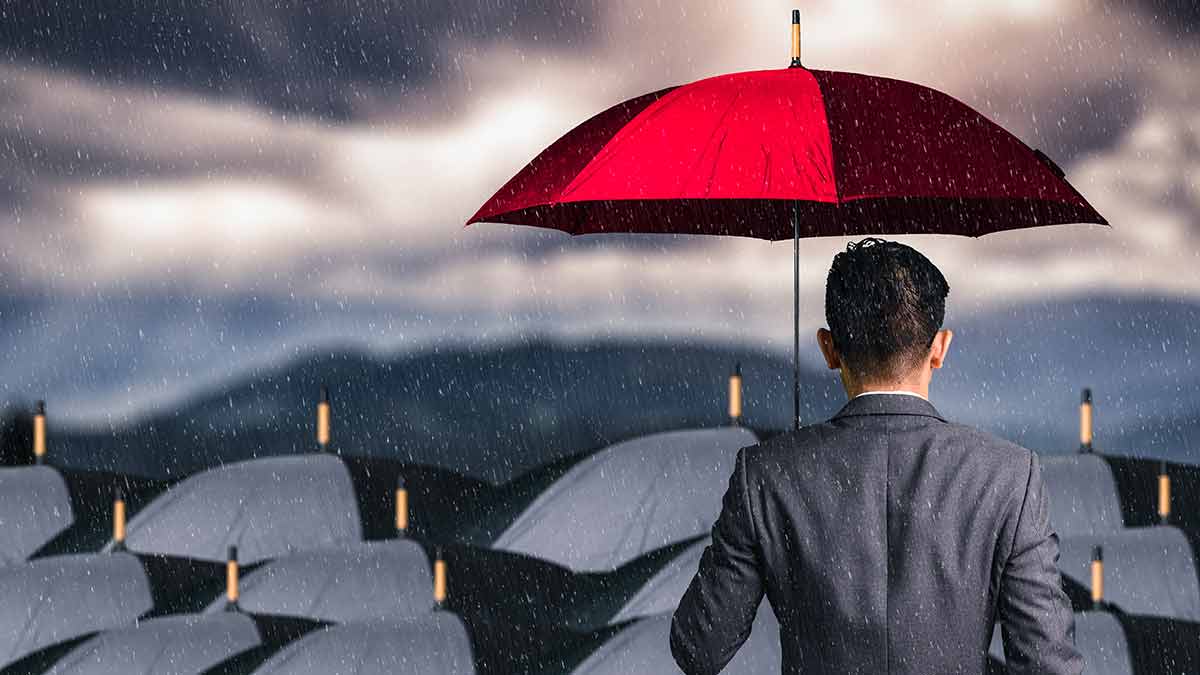 Les ministres prolongent la responsabilité des sociétés parapluies non rémunérées