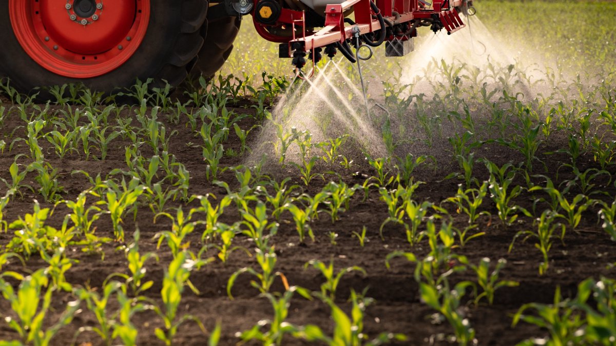 Travailler avec des pesticides liés à un risque plus élevé de maladie respiratoire