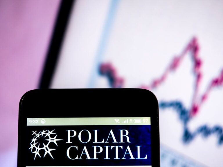 Polar Capital : un jeu technologique bon marché et à effet de levier