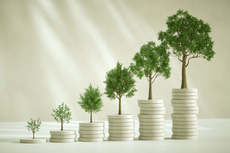Programme d'investissement dans les entreprises de semences (SEIS) : gros bénéfices provenant de petites entreprises