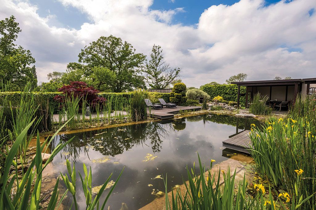 Maisons à vendre avec étangs fauniques : Tinley Lodge, Shipbourne, Tonbridge, Kent