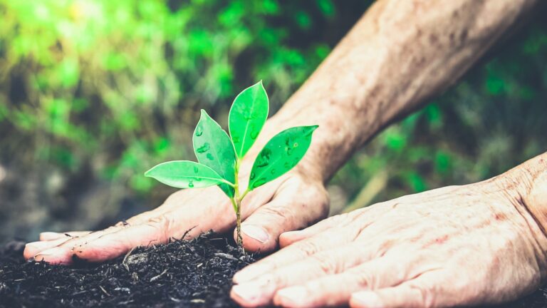 Les arguments en faveur de l’investissement dans les petites capitalisations