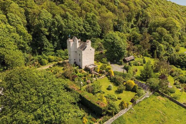 8 des meilleures maisons à vendre avec jardins clos