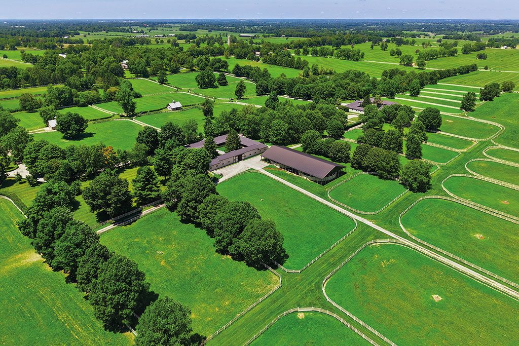 Maisons à vendre avec écuries : Castleton, Lexington, Kentucky, USA