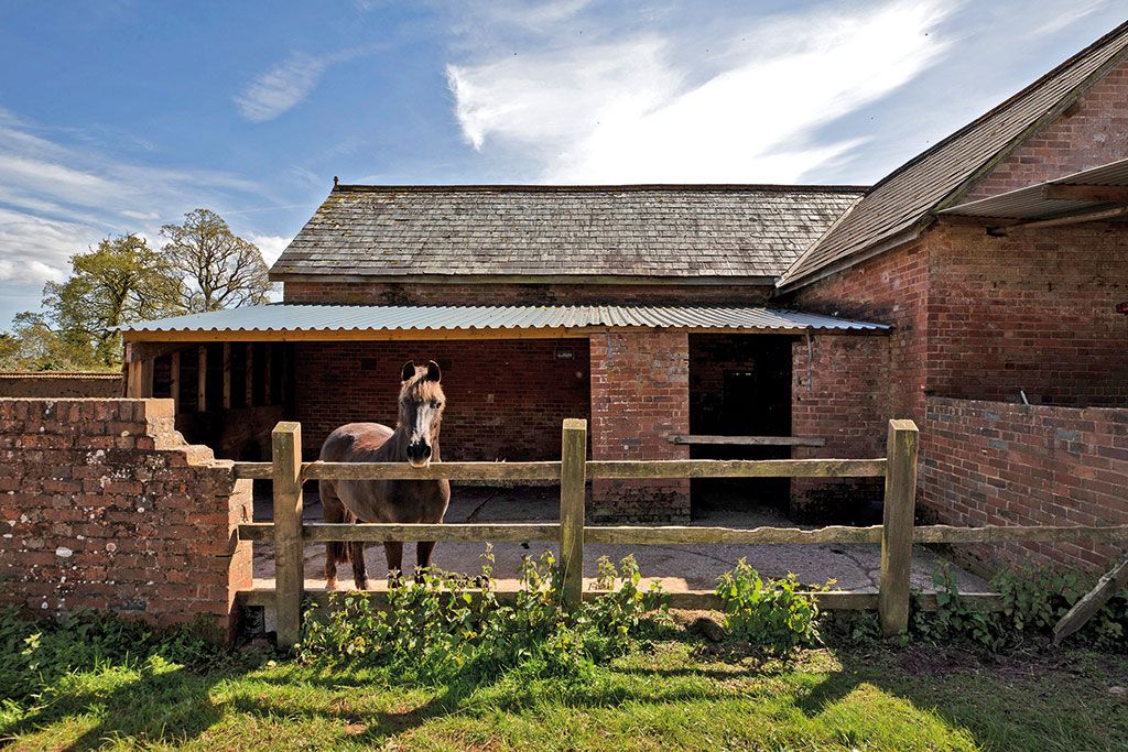 Maisons à vendre avec écuries : The Sanctuary, Shobrooke, Crediton, Devon