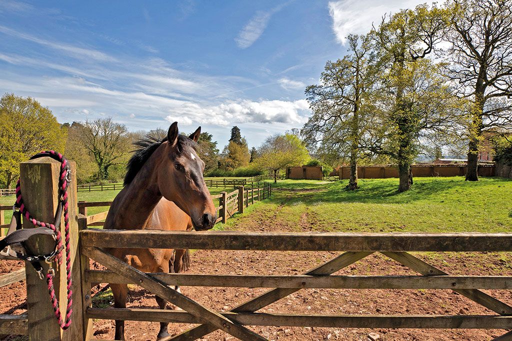 Maisons à vendre avec écuries : The Sanctuary, Shobrooke, Crediton, Devon