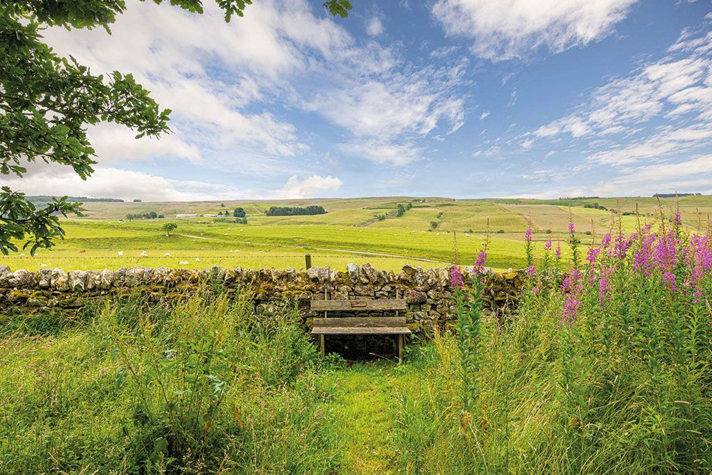 Maisons à vendre dans des endroits surélevés : High Mote, Elsdon, Northumberland