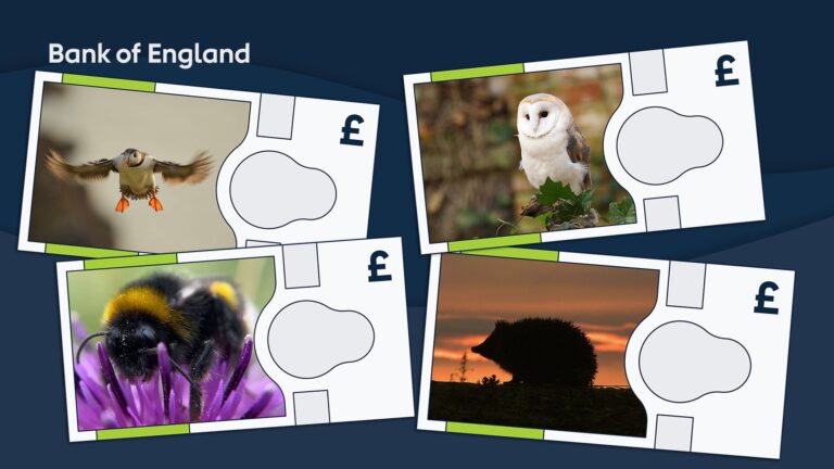 La Banque d'Angleterre confirme que les quatre animaux figureront sur les nouveaux billets de banque